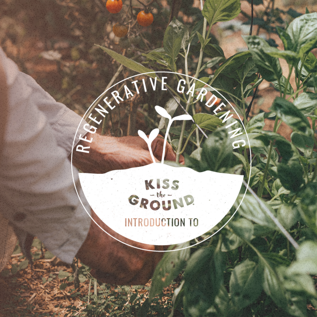 Introduction to Regenerative Gardening Course