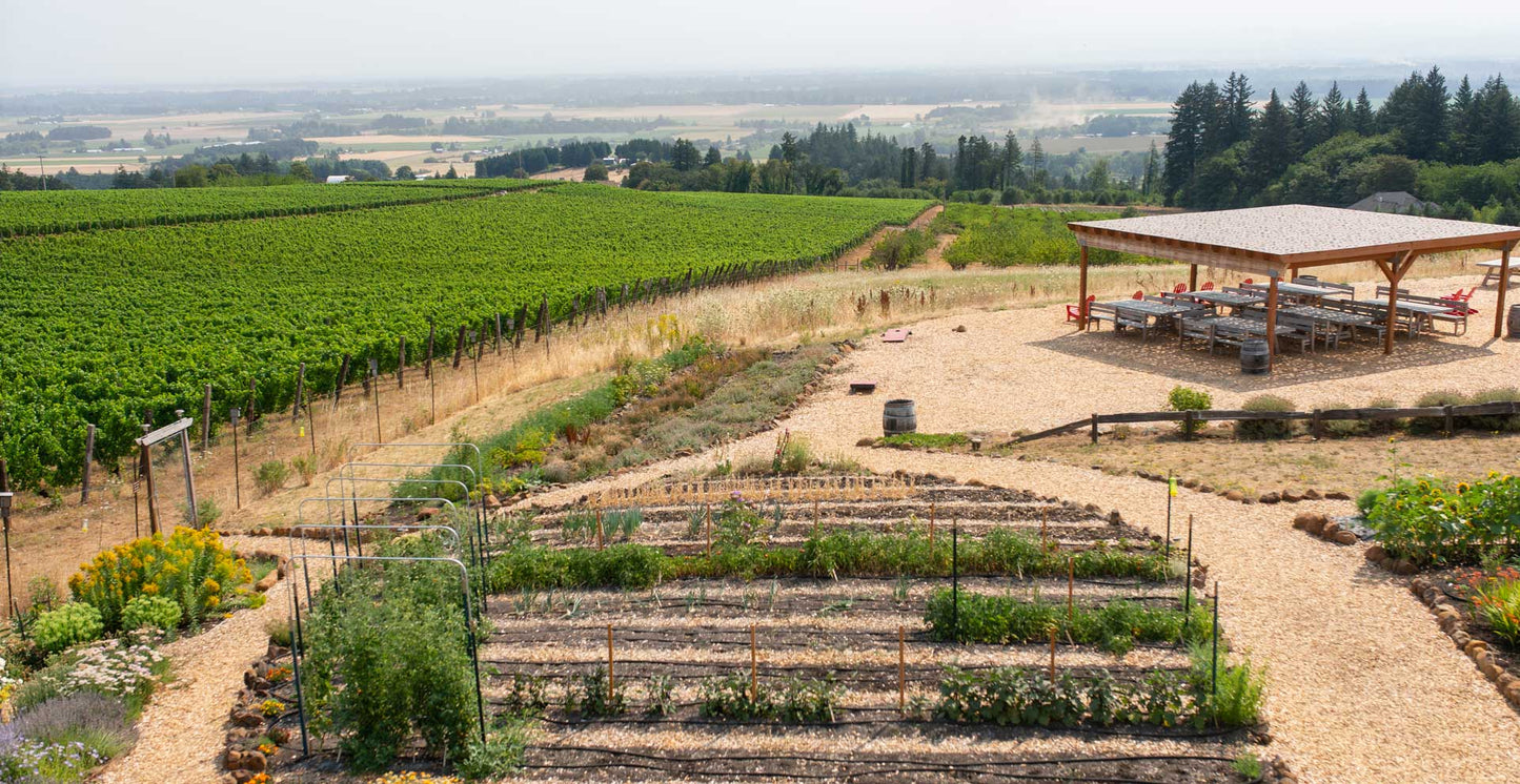 Vintage 2018 Kiss the Ground Pinot Noir